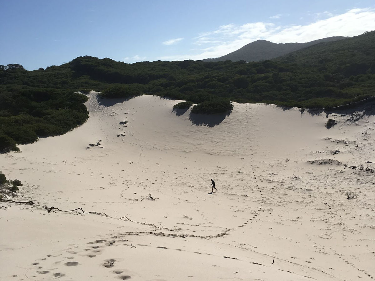  sand dunes  沙丘